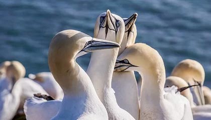 开云APP-莱加内斯客场不敌巴塞罗那，遭遇败绩，莱加内斯vs布尔戈斯