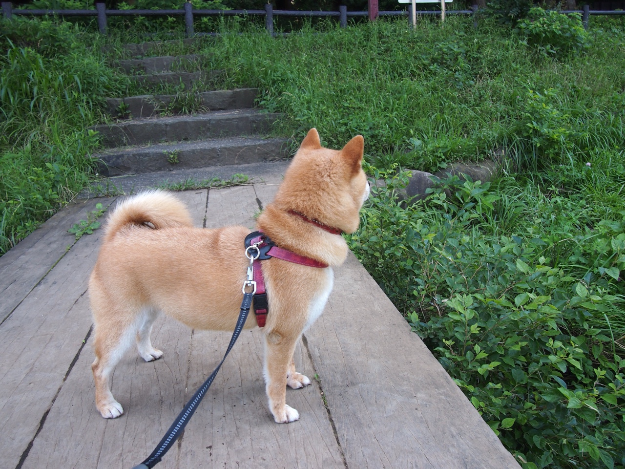 【战术艺术】马克·塞尔比:用细腻的防守策略赢得胜利,马克塞尔比厉害吗