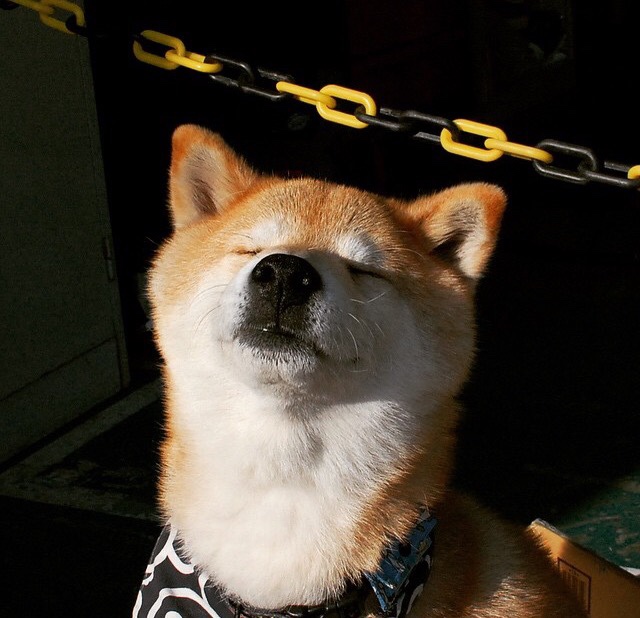 kaiyun官方入口登录-牛逼的裁判语录：公平公正的守护者，裁判公平公正的句子