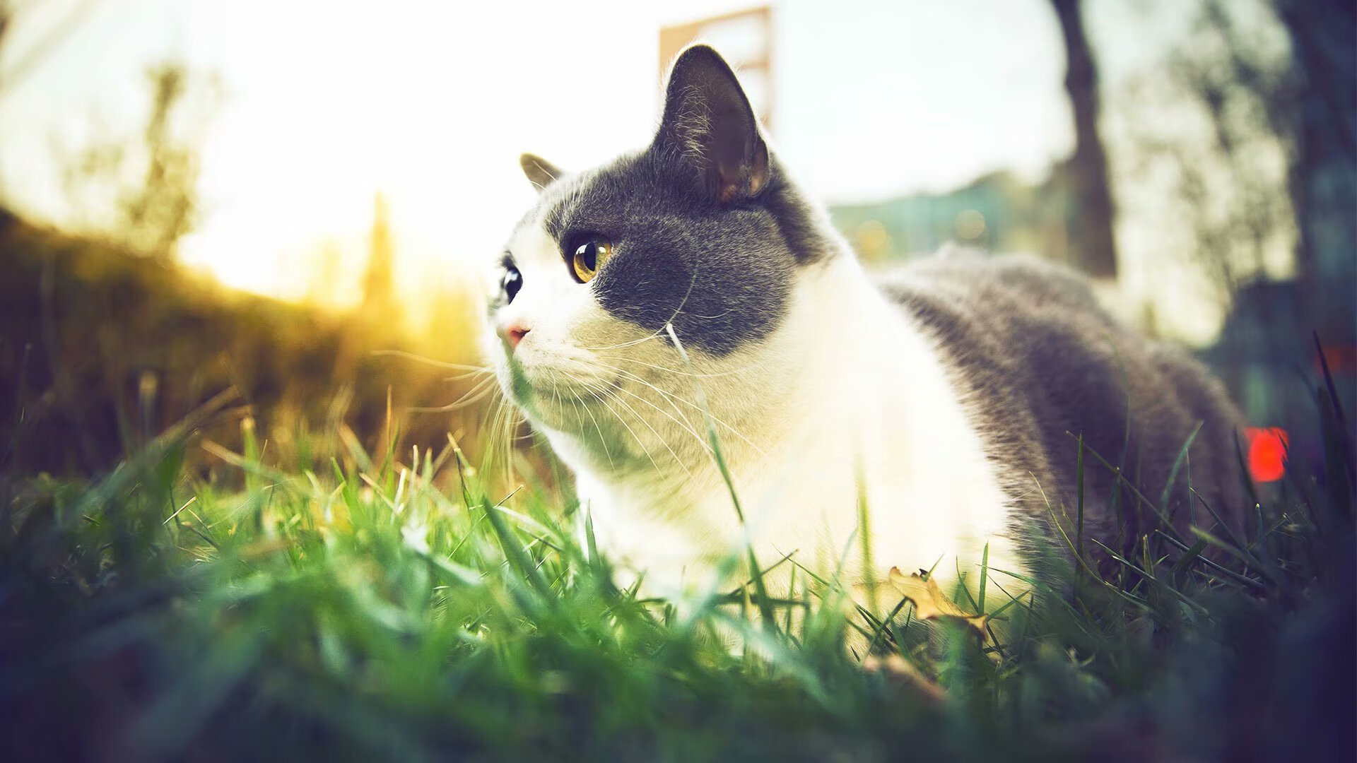 kaiyun官方入口登录-终场“绝杀”瞬间点燃欧冠激情，永载史册！，欧冠终极球场