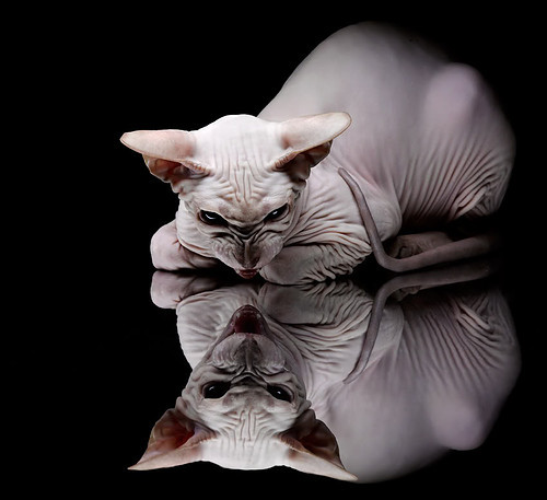 足球出版物销量大幅增长反映群众热情，国内足球杂志