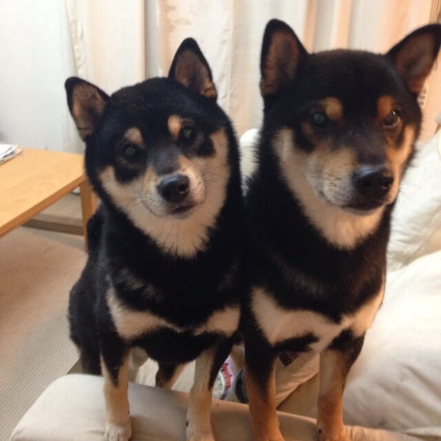 克鲁阵容年轻有活力,铁路军团逐步崛起,克鲁尔cs