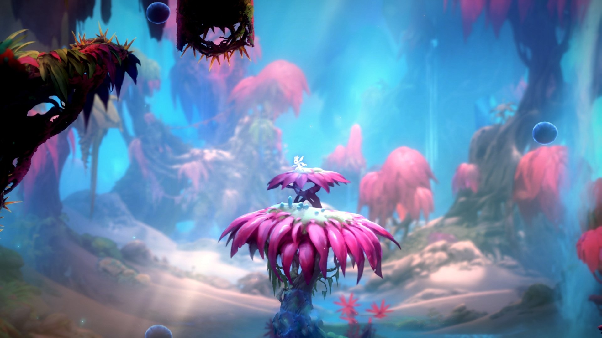 全力以赴！科威特女队迎战约旦，双方齐心争胜