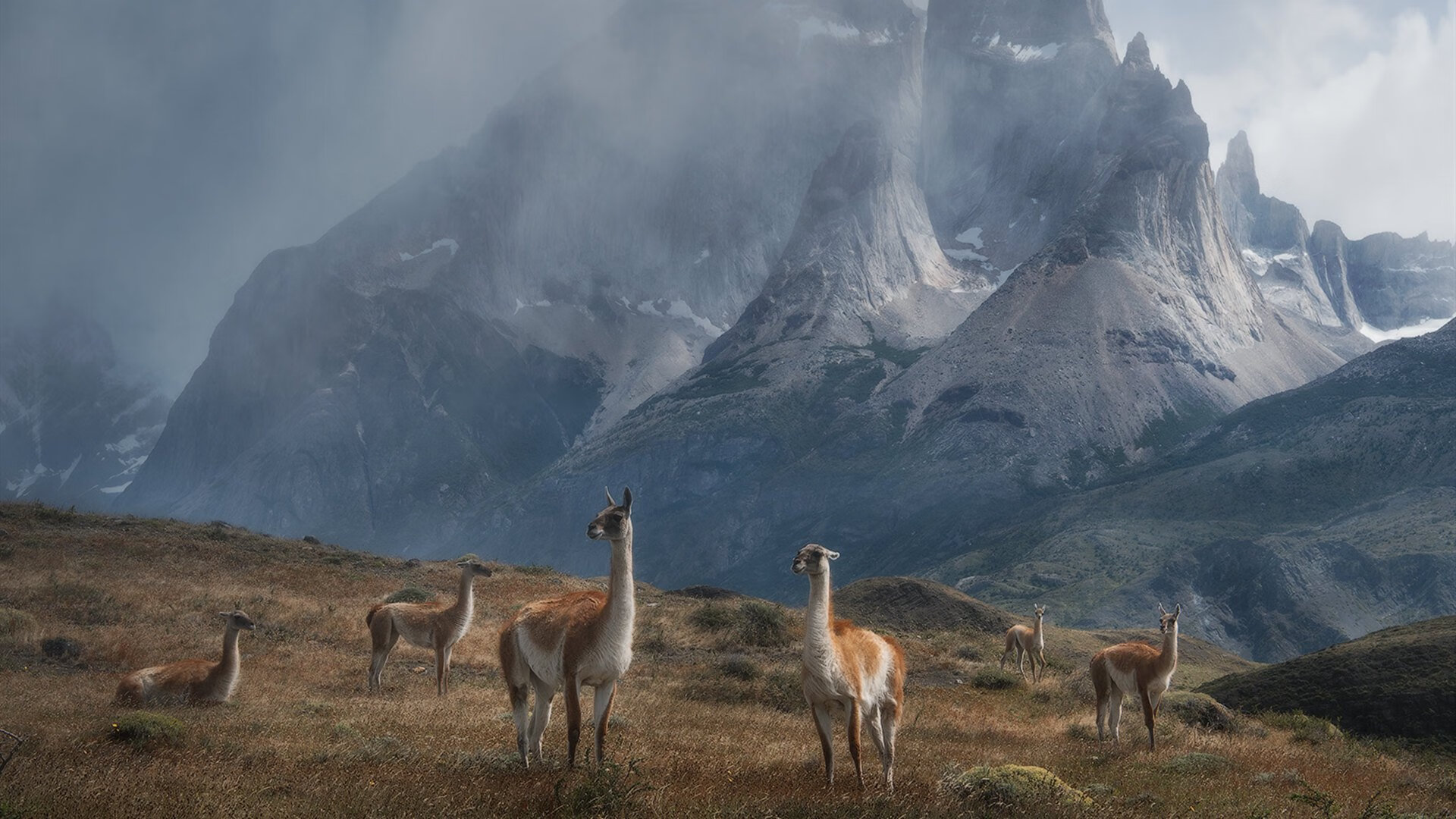 哥伦比亚队在巴黎奥运会比赛中展现出强大的个人突破能力，奥运会哥伦比亚代表团
