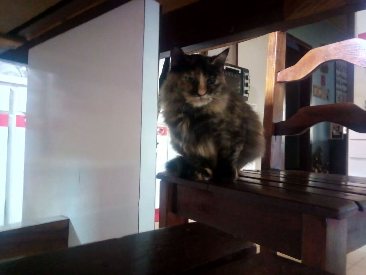 墨西哥队在巴黎奥运会比赛中多次通过团队配合得分,墨西哥奥运队对巴西奥运队