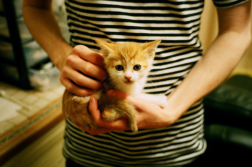 斯特拉斯堡主场大胜梅斯,豪取胜利,斯特拉斯堡vs梅斯 比分