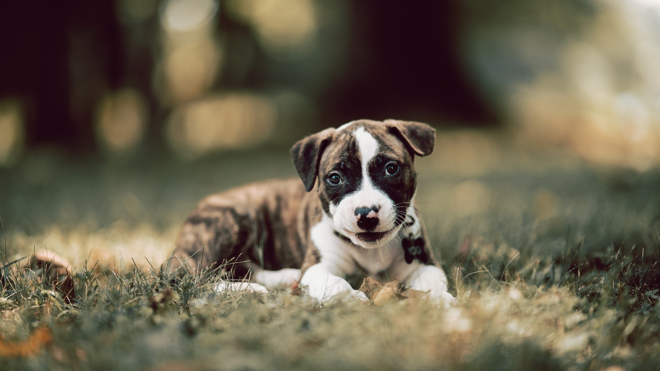 湖南湘涛客场无力回天，积分榜垫底境地依旧，湖南湘涛2020