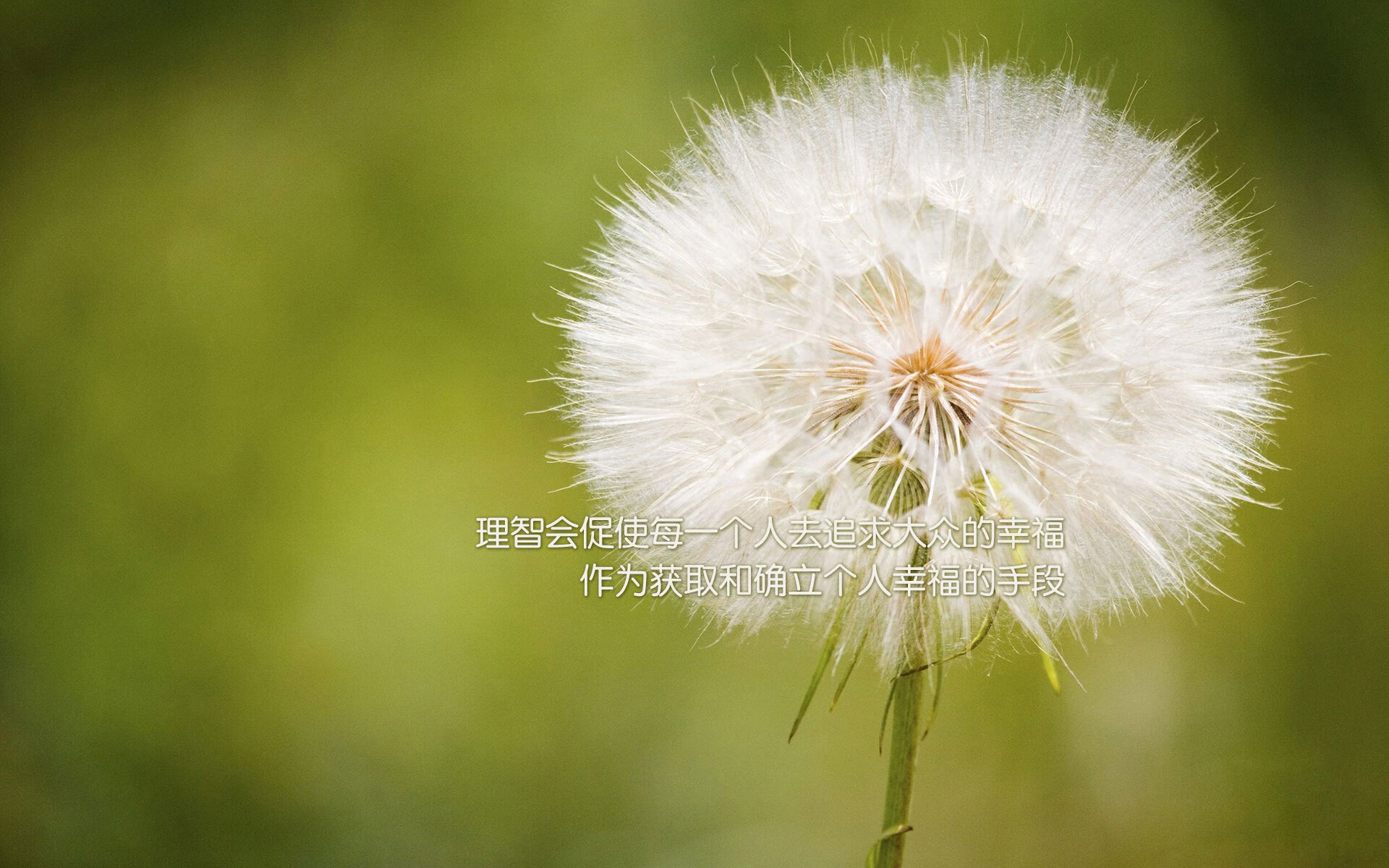 球队在比赛中展现出强大的团队合作精神，比赛中团队合作的重要