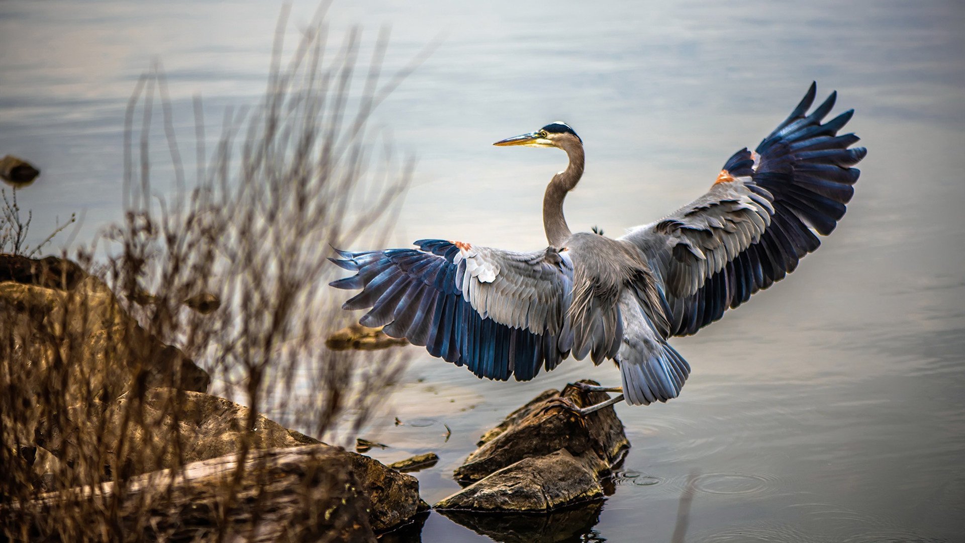 开云官网-皇马主席弗洛伦蒂诺荣膺环球足球最佳主席奖，皇马赞助flyemirates