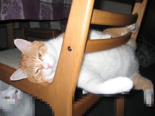 阿贾克斯客场击败瓦埃雷尔实现六连胜，阿贾克斯vs乌得勒支预测