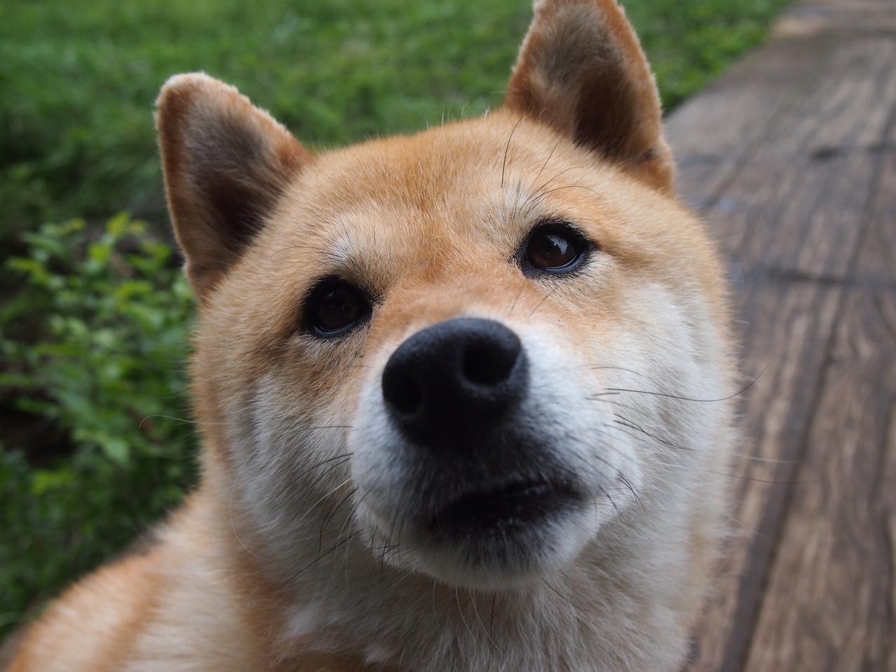 NBA球队赛场表现数据统计,nba各队球场