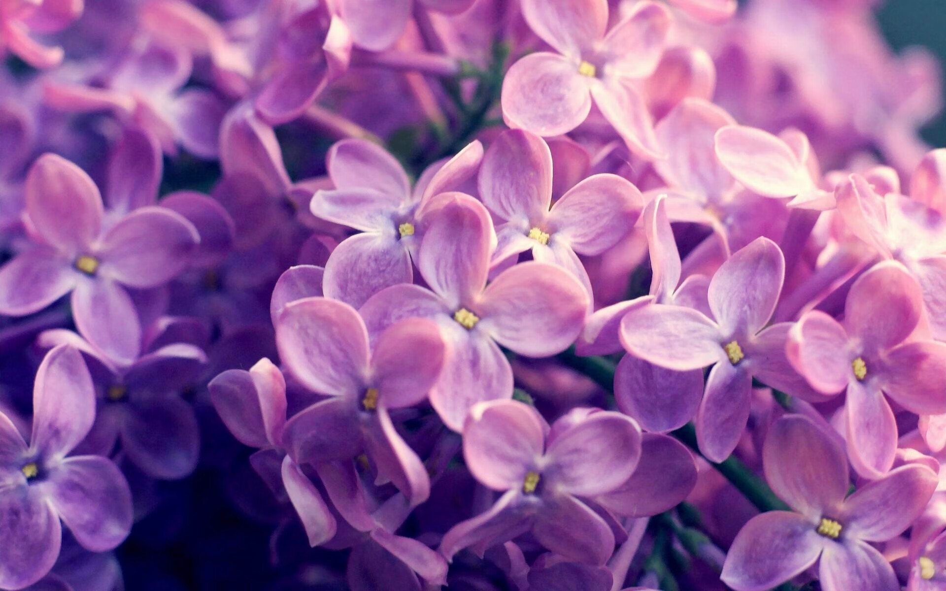 意甲裁判语义分析技术辅助VAR判罚的应用探索，足球var裁判