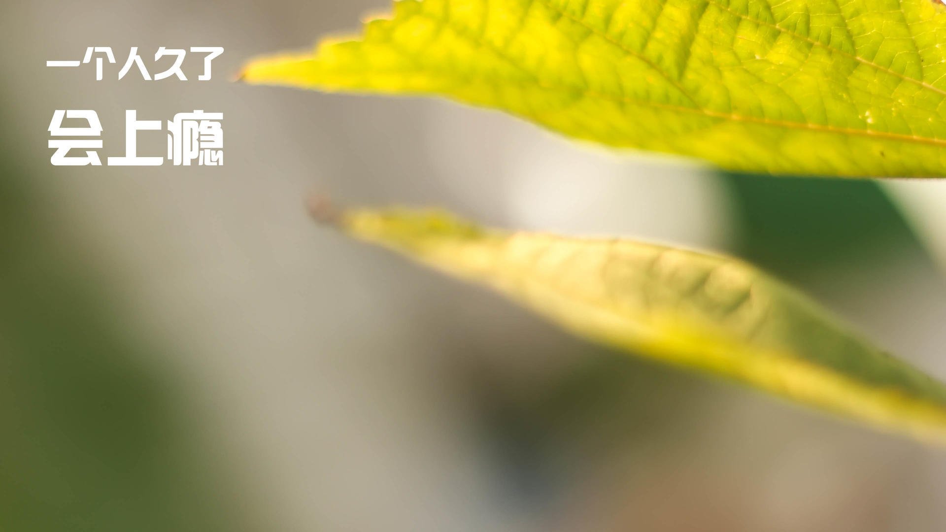 Chinese Taipei:未来发展如何增强团队协作与战术创新