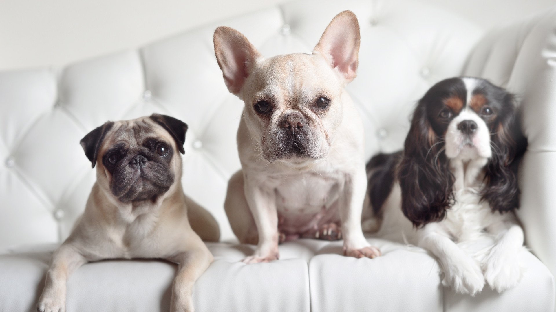 开云·体育官网-博卡中卫遭遇轮番冲击，疲于应付，博卡出来的球星