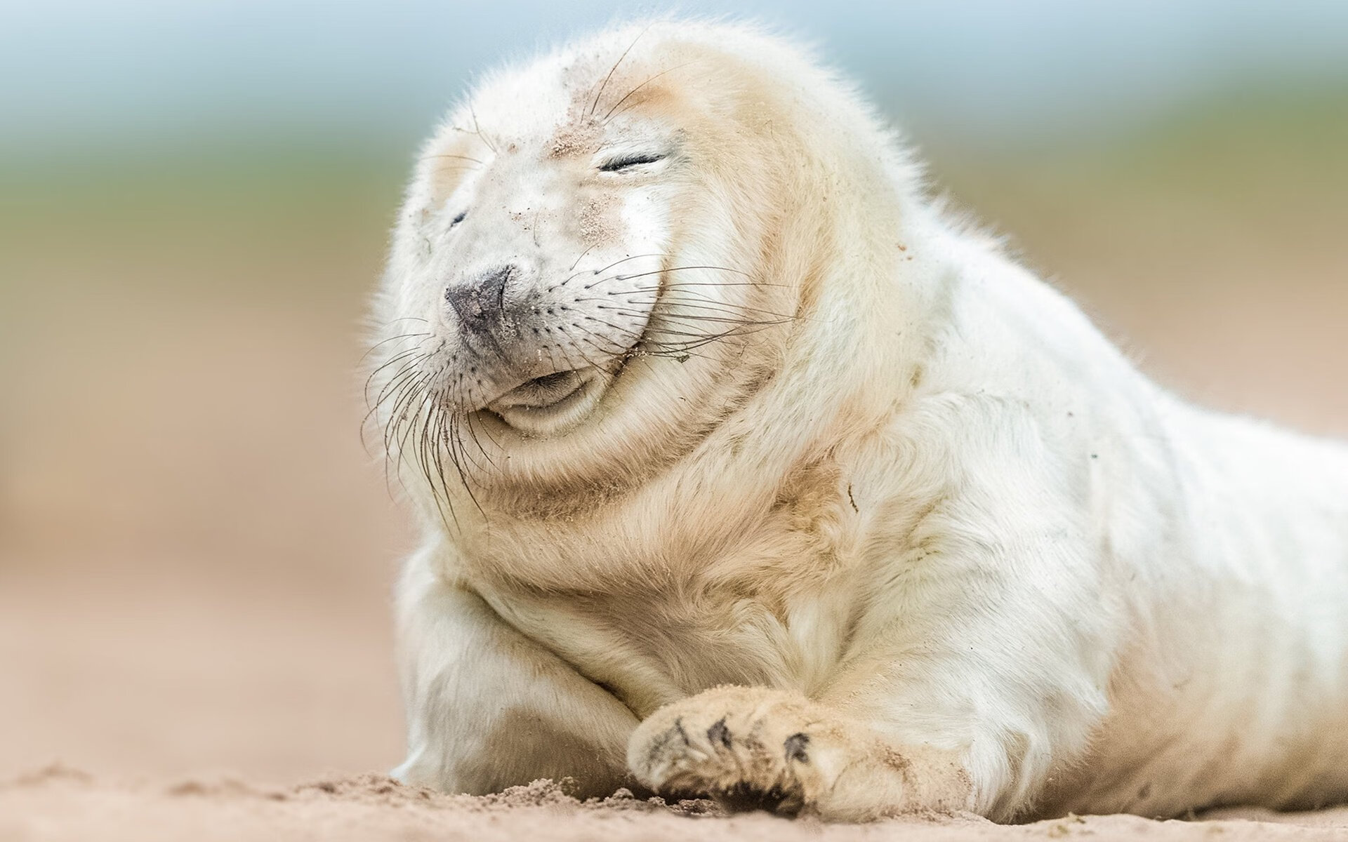 曼城高位抢断频频化解对方进攻，曼城进攻战术