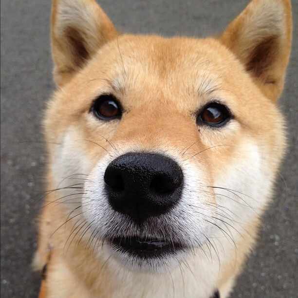 球员在高压节奏下如何降低失误风险,球员在高压节奏下如何降低失误风险