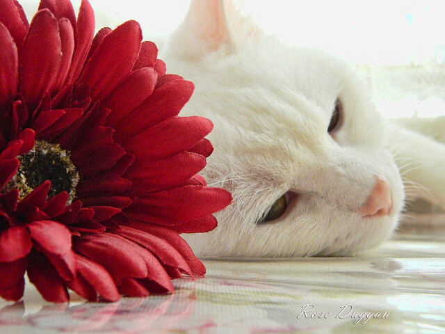 kaiyun 开云体育-节奏失衡是否容易导致外线空位被忽略，节奏失真怎么调