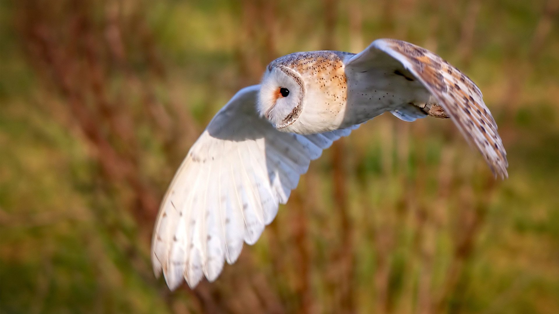 kaiyun中国官方网站-公牛管理层接受采访回应战绩质疑，公牛集团视频