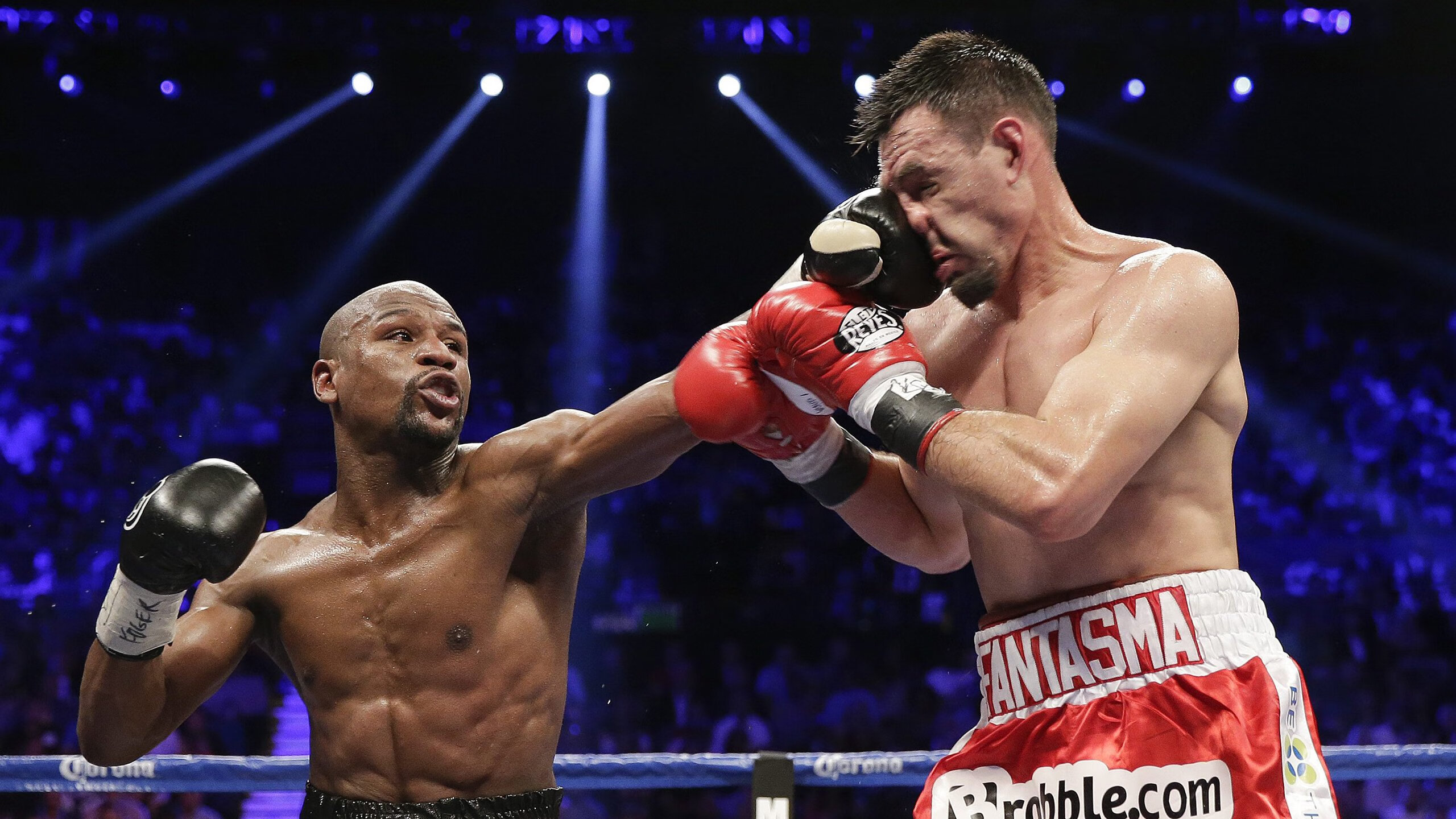 开云体育APP下载-南非羚羊队：以严格的战术执行和精确的配合，统治全场，非洲羚羊种类大全