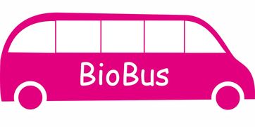 开云官网首页-意甲联赛的绿色可持续发展，意甲联赛啥意思